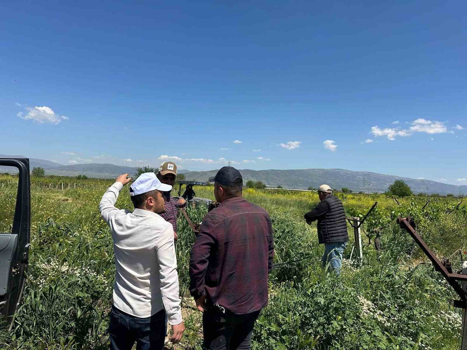 Sarıgöl bağlarında 3K hamlesi
