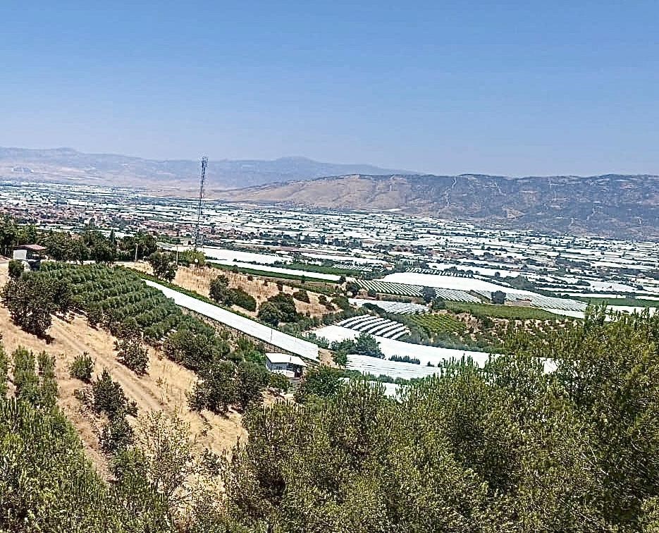 Sarıgöl Ovası gelinliğini çıkardı
