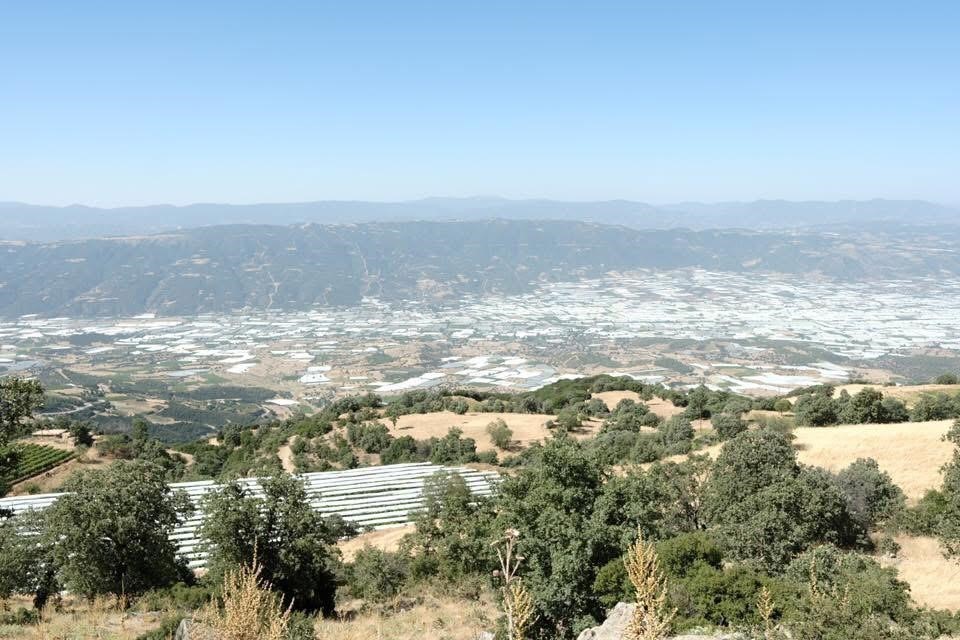 Sarıgöl Ovası gelinliğini çıkardı
