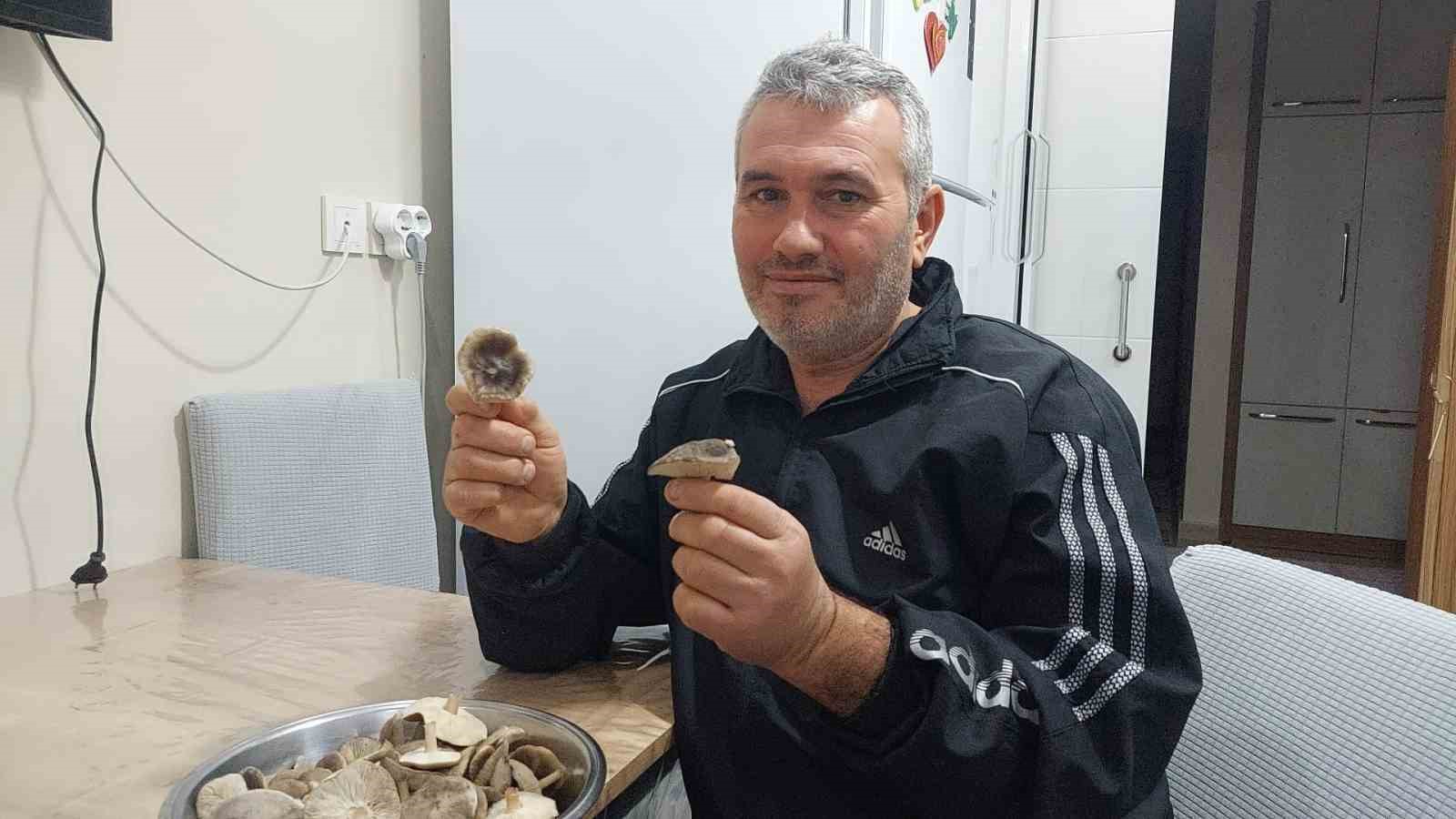 Sarıgöl’de ağaçlar çiçek açtı, dağlar mantar doldu
