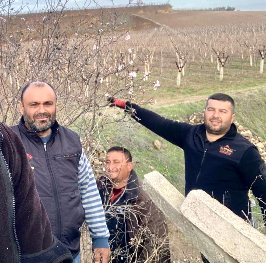 Sarıgöl’de badem ağaçları çiçek açtı
