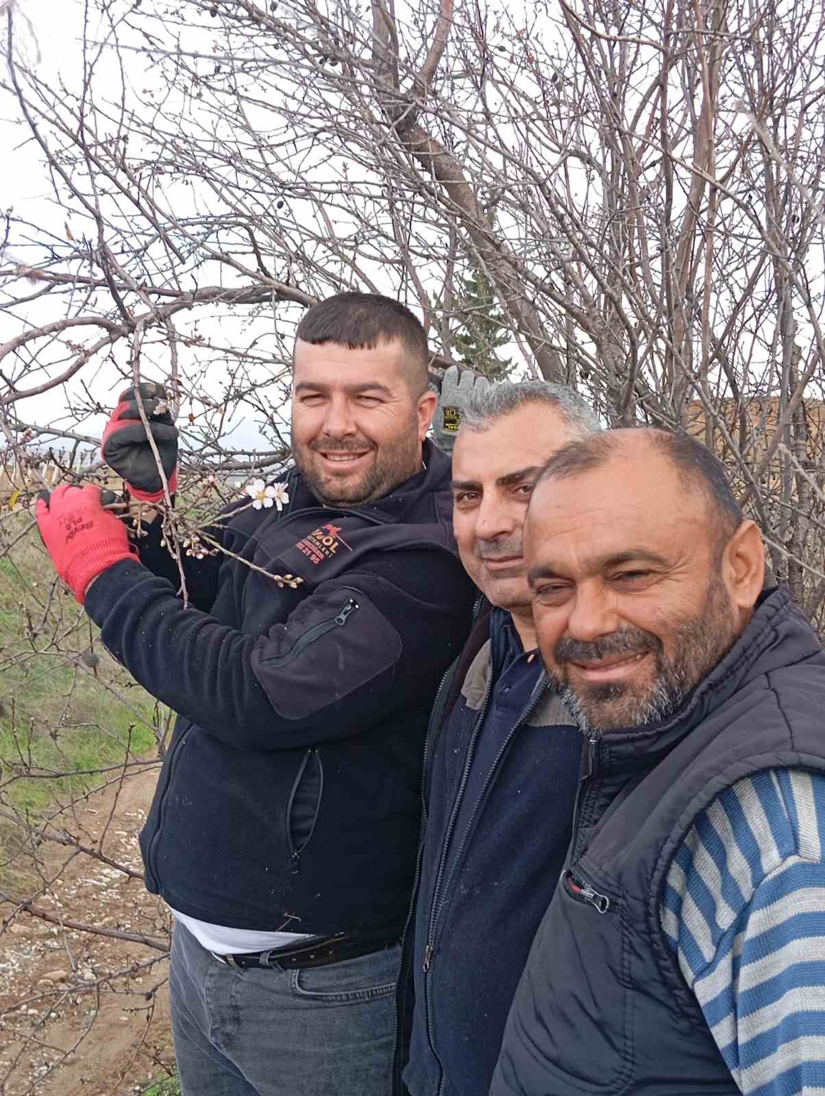 Sarıgöl’de badem ağaçları çiçek açtı
