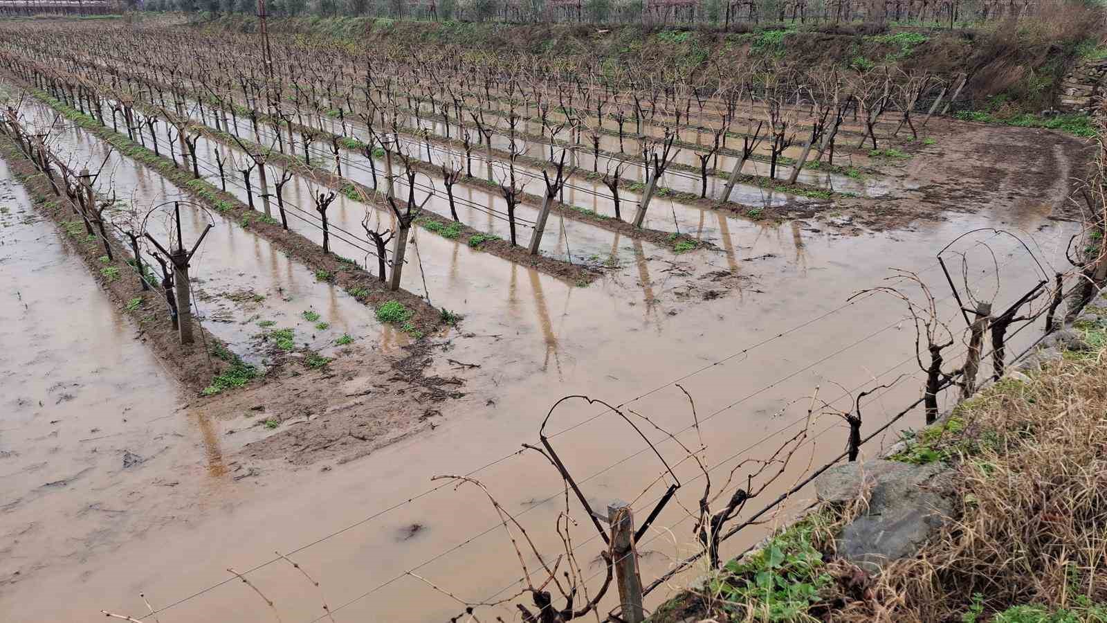 Sarıgöl’de bereketli yağmurlar yüzleri güldürdü
