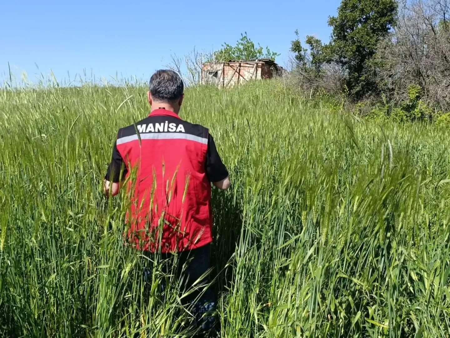 Sarıgöl’de huhubatta verim için ekipler sahada
