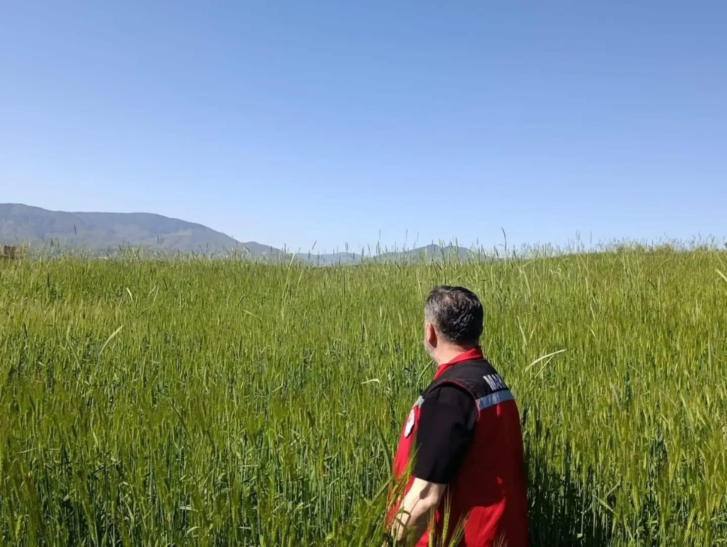 Sarıgöl’de huhubatta verim için ekipler sahada
