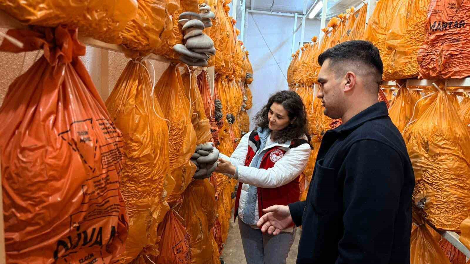 Sarıgöl’de istiridye mantarı üretiminde örnek buluşma
Sarıgöl’de istiridye mantarı üretiminde örnek buluşma