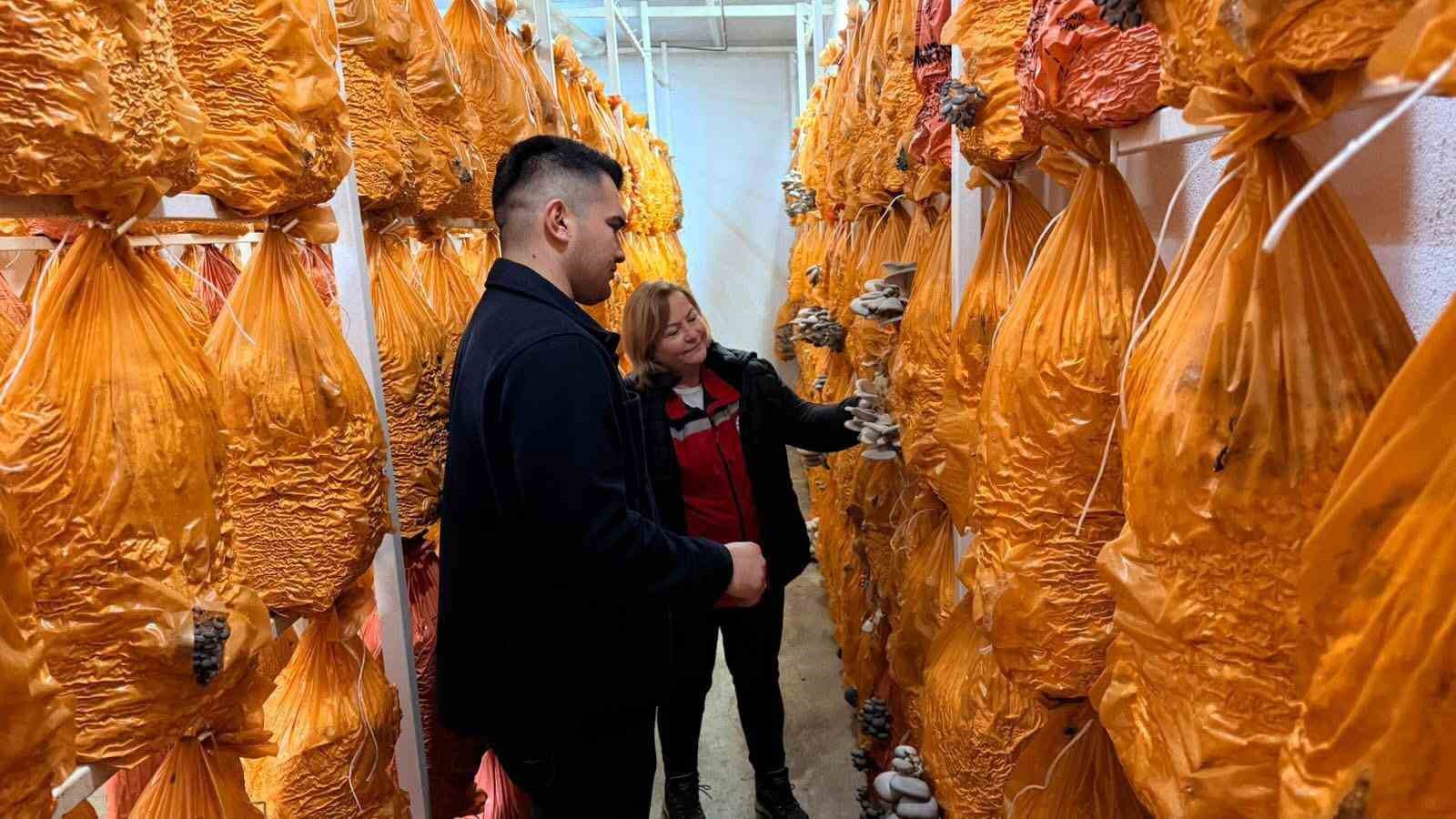 Sarıgöl’de istiridye mantarı üretiminde örnek buluşma
Sarıgöl’de istiridye mantarı üretiminde örnek buluşma