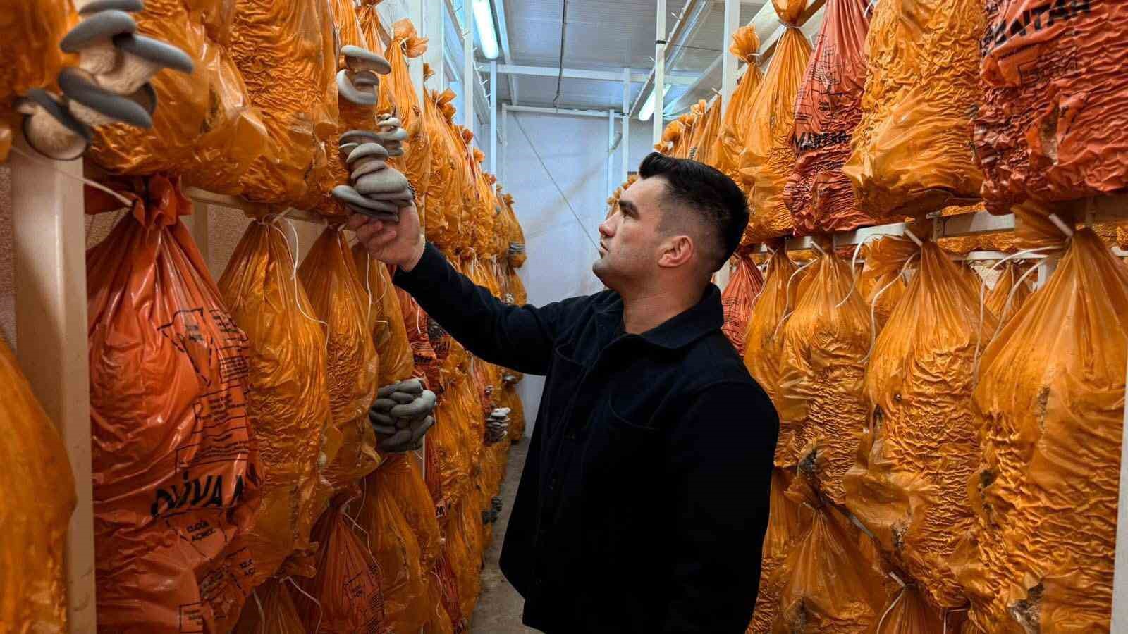 Sarıgöl’de istiridye mantarı üretiminde örnek buluşma
Sarıgöl’de istiridye mantarı üretiminde örnek buluşma