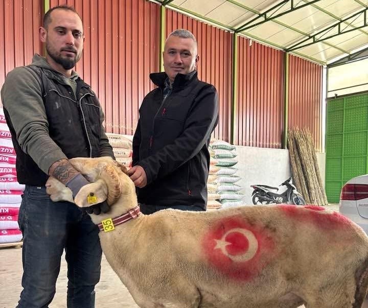 Sarıgöl’de kurbanlık pazarı hareketlendi
