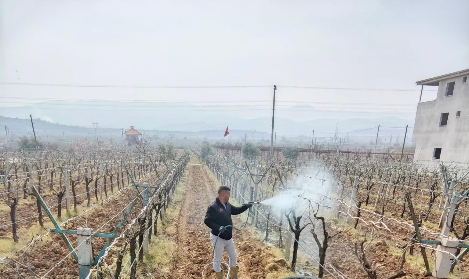 Sarıgöl’de ölü kol hastalığıyla mücadele başladı
