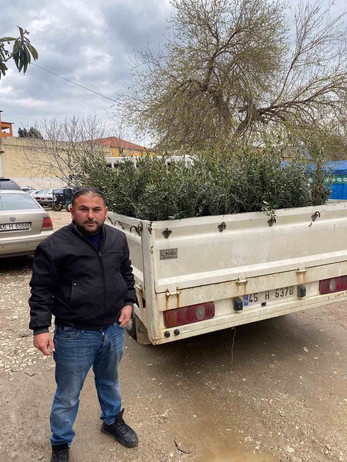 Sarıgöl’de Trilye zeytin fidanına yoğun ilgi
