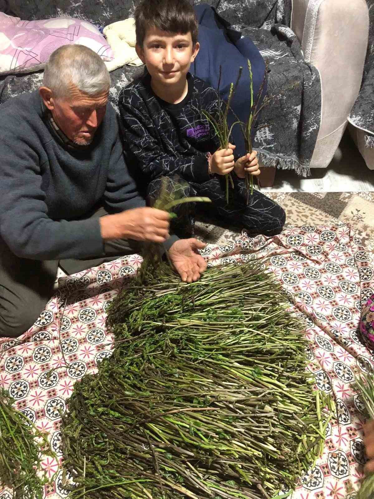 Sarıgöl’de yaban otları paraya dönüştü

