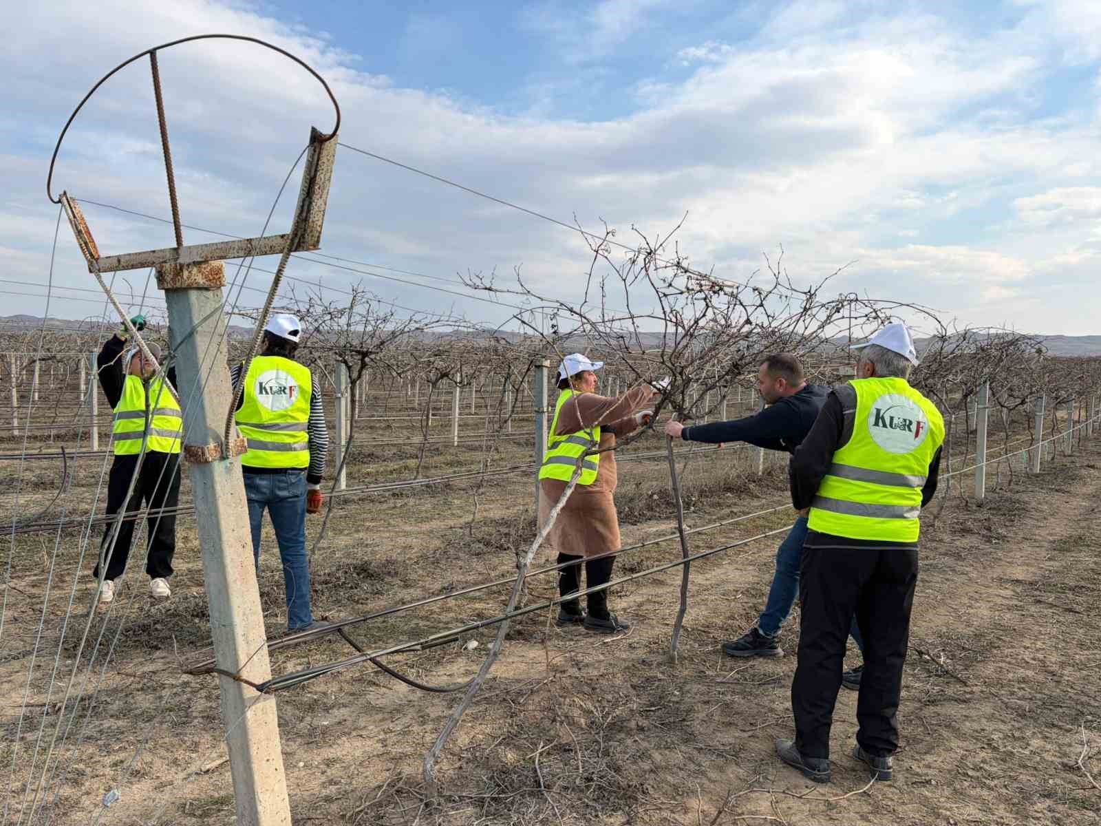 Sarıgöllü ziraat mühendisi Azerbaycan’da bağ budama tekniklerini öğretti
