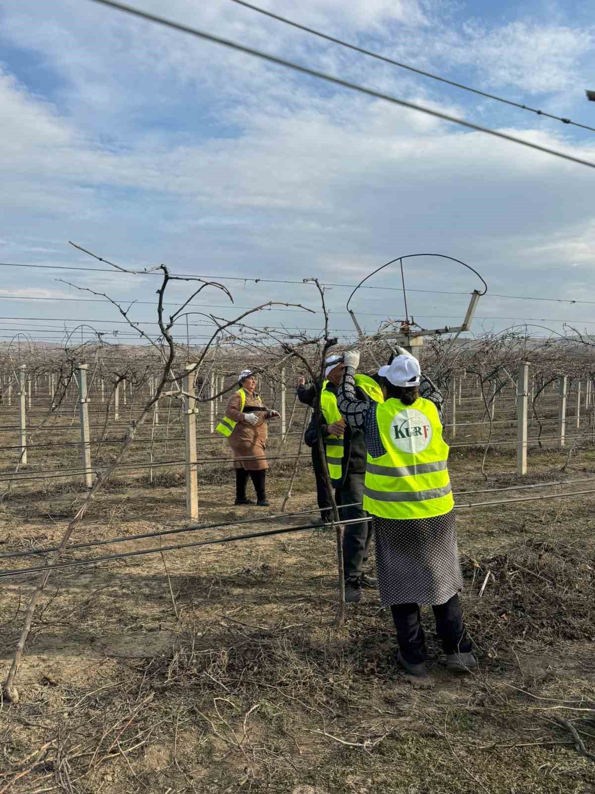 Sarıgöllü ziraat mühendisi Azerbaycan’da bağ budama tekniklerini öğretti
