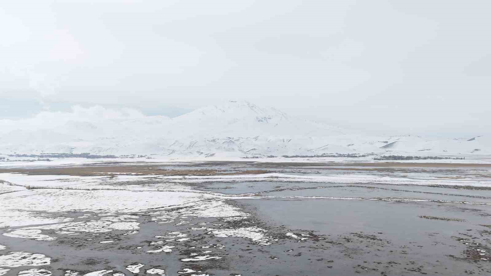 Sarısu sazlıkları ile Süphan Dağı’nın karlı zirvesi göz kamaştırıyor
