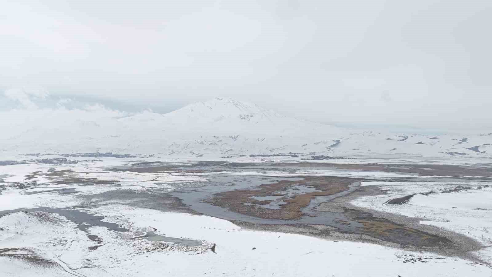 Sarısu sazlıkları ile Süphan Dağı’nın karlı zirvesi göz kamaştırıyor
