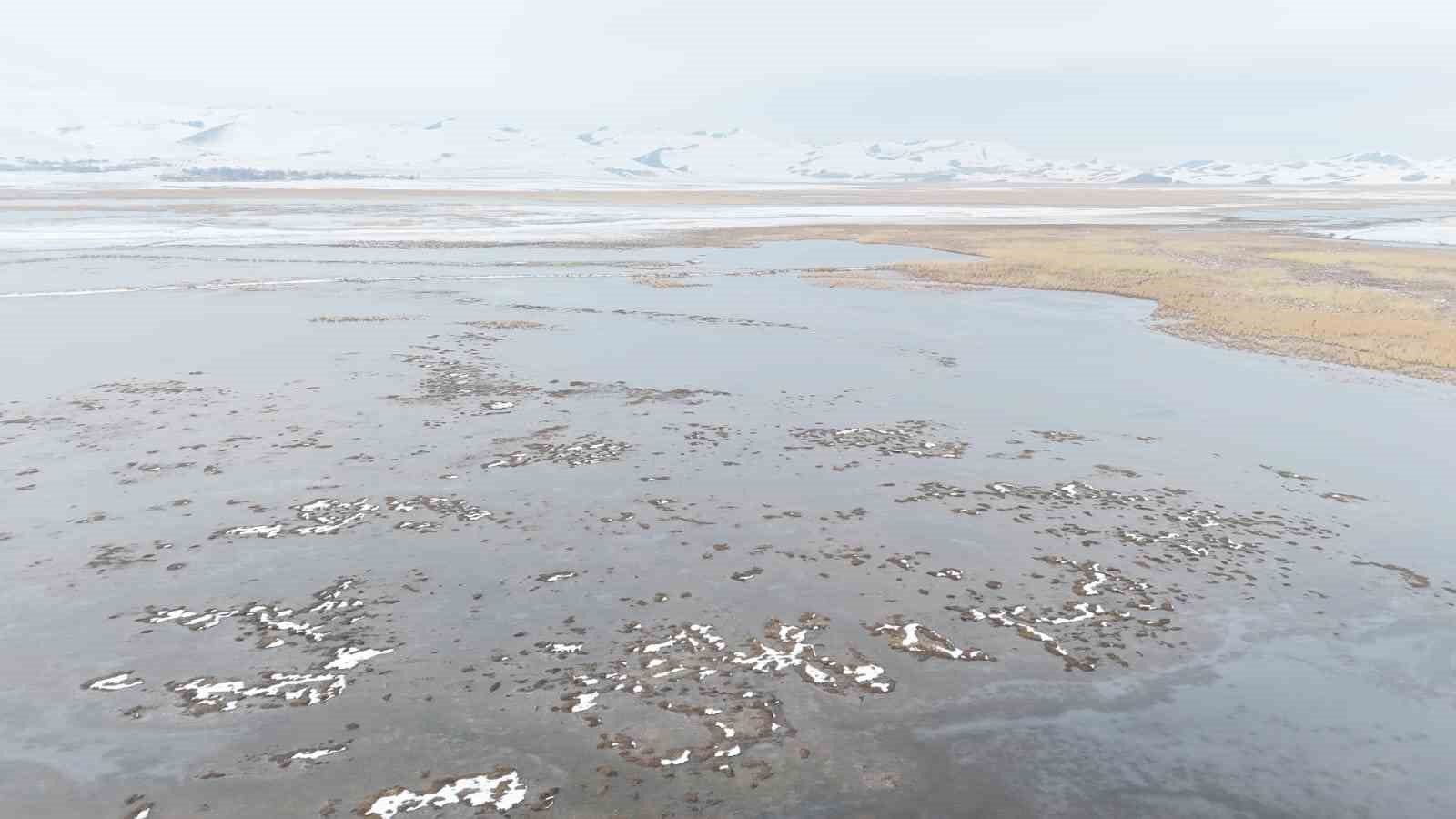 Sarısu sazlıkları ile Süphan Dağı’nın karlı zirvesi göz kamaştırıyor
