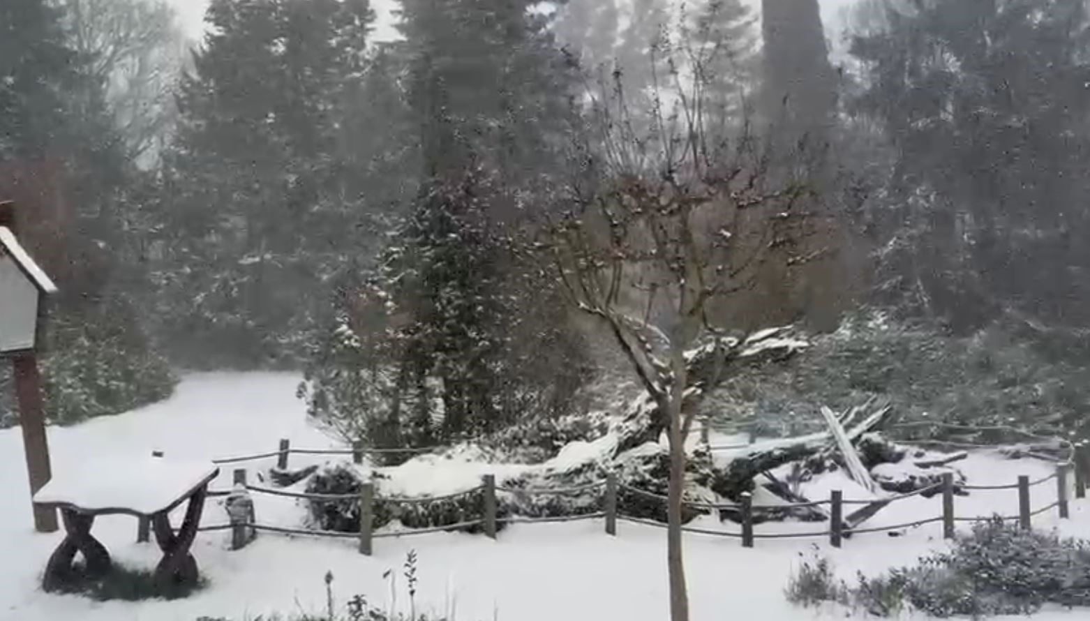 Sarıyer’in yüksek kesimleri karla kaplandı
