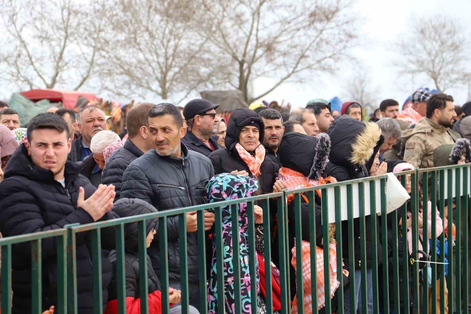 Saruhanlı’da deve güreşlerine binlerce vatandaş akın etti
