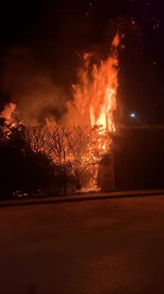 Sebepsiz yere ateşe verilen ağaç itfaiyeyi harekete geçirdi
