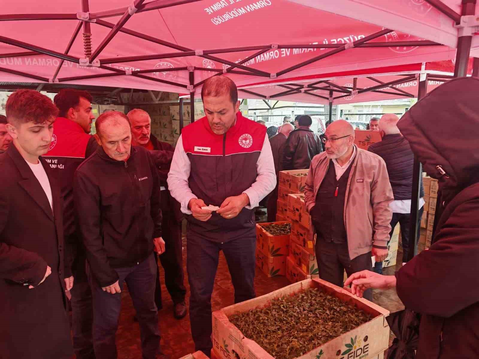 Sebze üretimi yapan çiftçilere fide dağıtıldı
