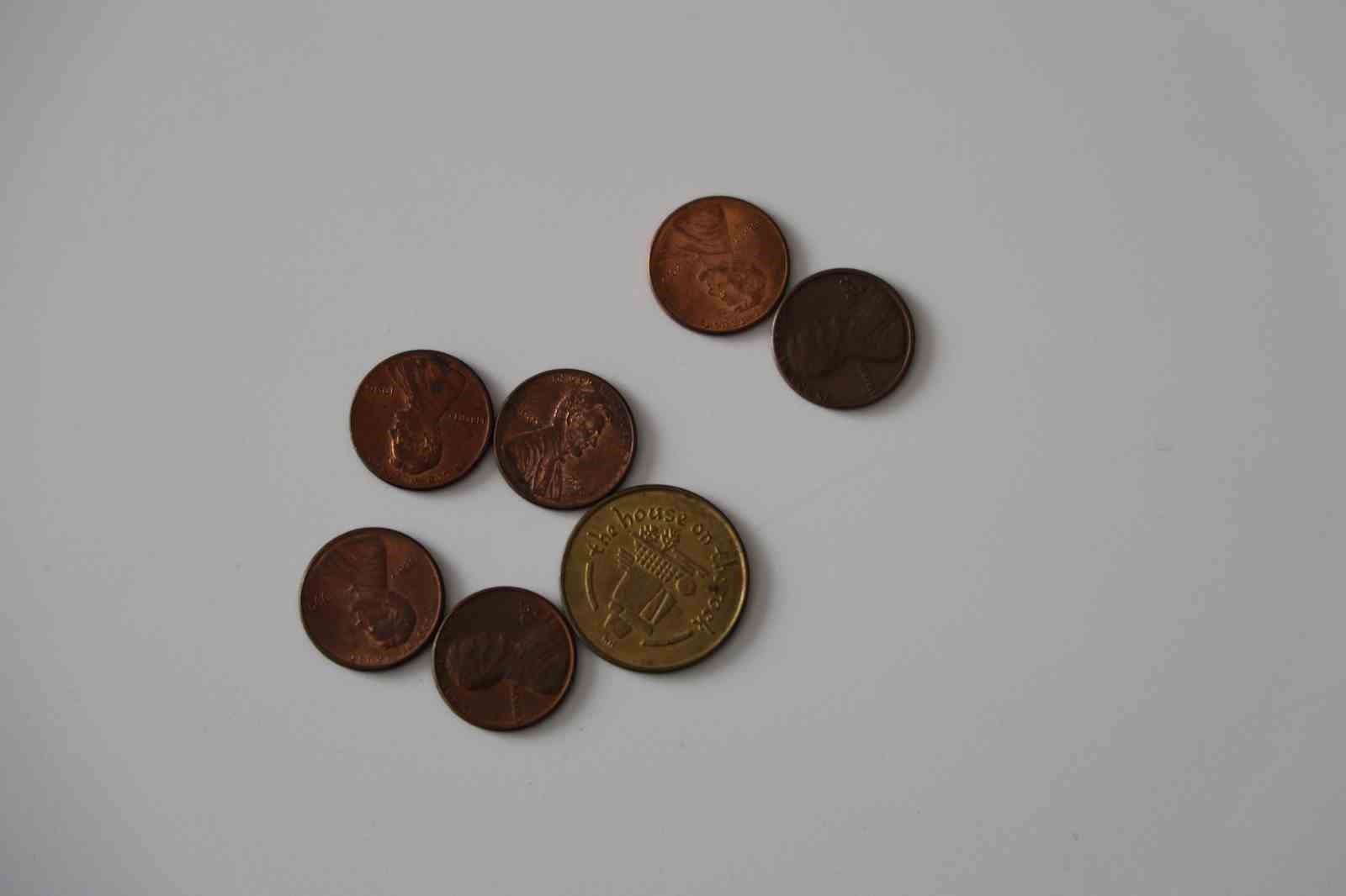 Şehit babası oğlundan kalan koleksiyona gözü gibi bakıyor
Şehit babası oğlundan kalan koleksiyona gözü gibi bakıyor