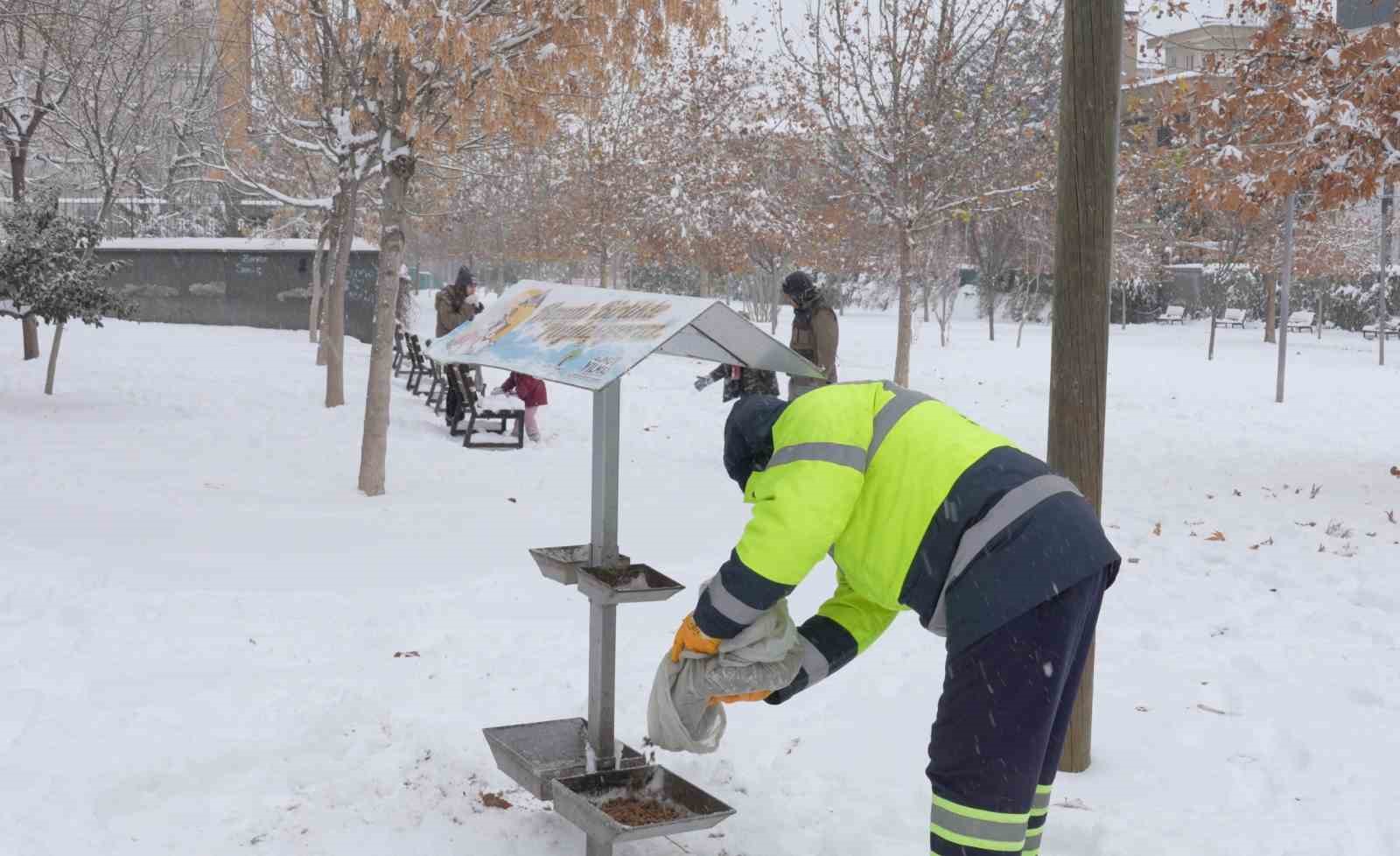Şehitkamil sokak hayvanlarını unutmadı
Şehitkamil sokak hayvanlarını unutmadı