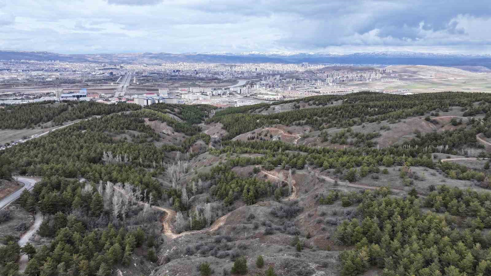 Şehitlerin ismi yürüyüş parkurunda yaşatılacak
