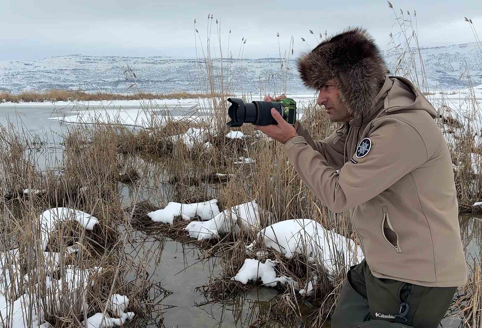 Şehre inen tilkilerin sevimli halleri kameralara yansıdı
