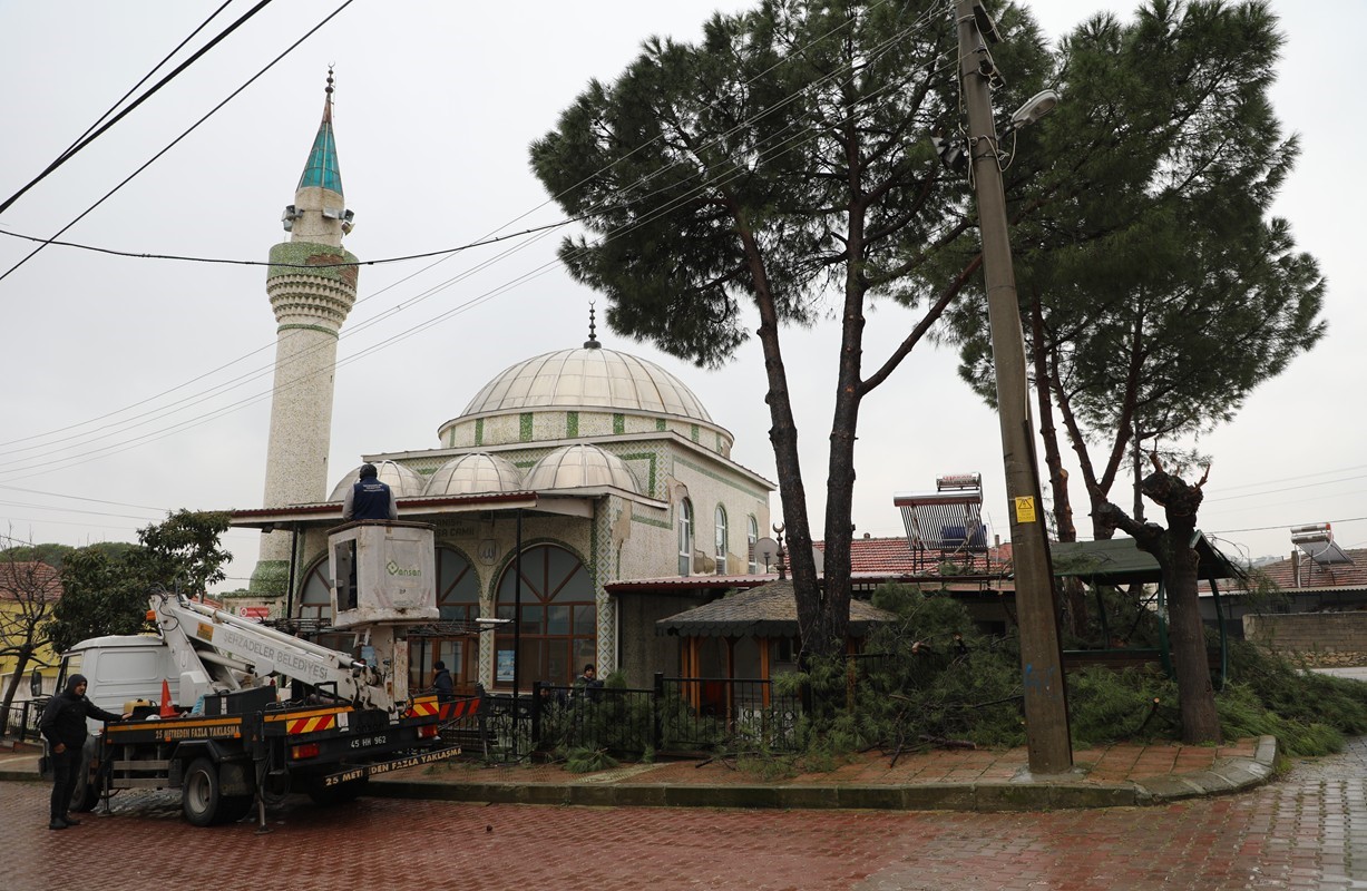 Şehzadeler Belediyesi’nin budadığı dallar ihtiyaç sahiplerinin ocağını ısıtıyor
