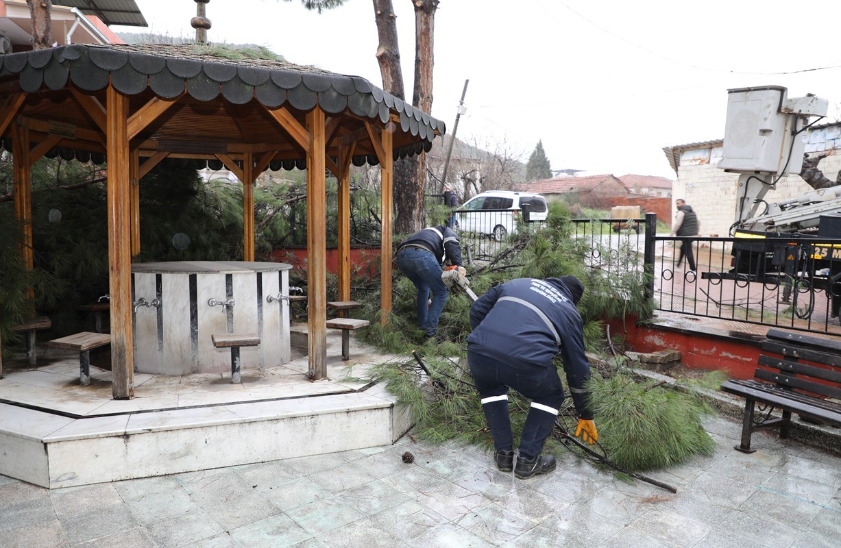 Şehzadeler Belediyesi’nin budadığı dallar ihtiyaç sahiplerinin ocağını ısıtıyor
