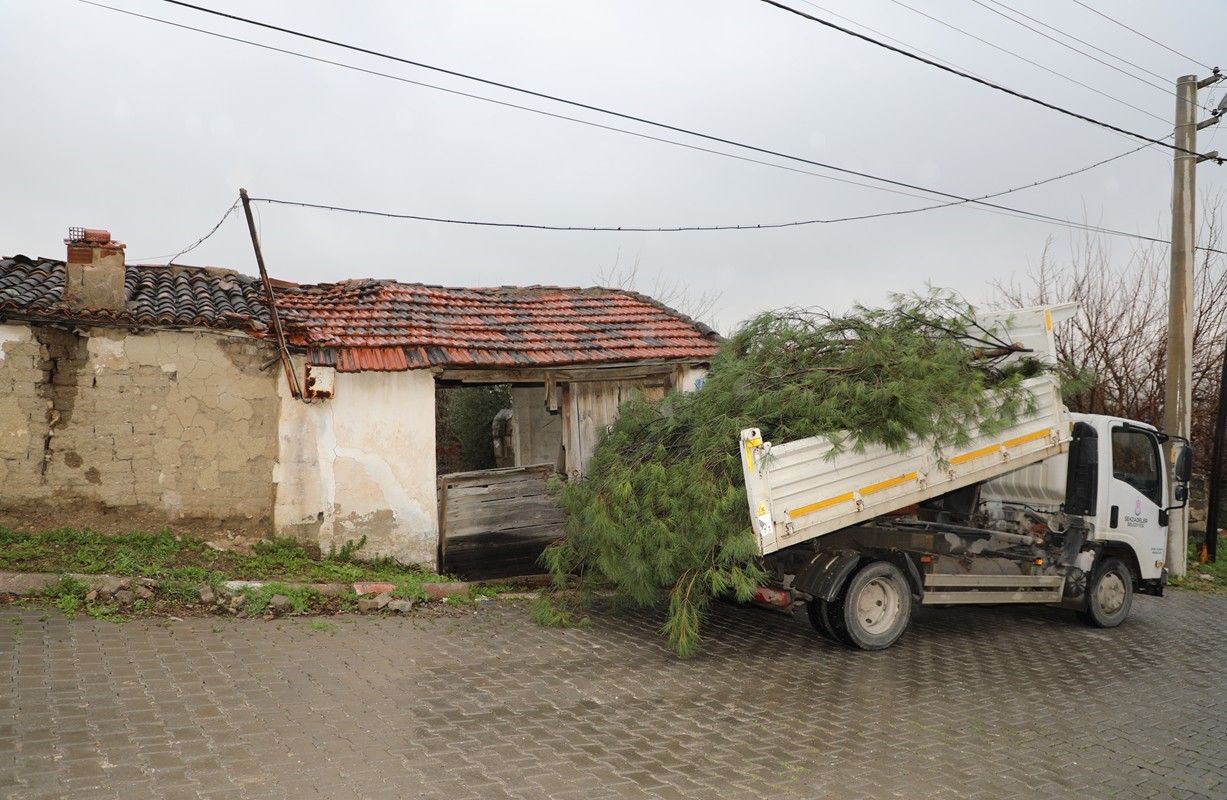 Şehzadeler Belediyesi’nin budadığı dallar ihtiyaç sahiplerinin ocağını ısıtıyor
