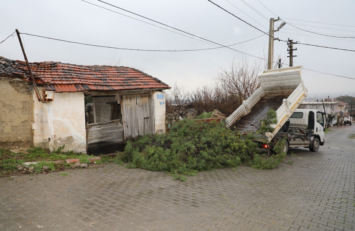 Şehzadeler Belediyesi’nin budadığı dallar ihtiyaç sahiplerinin ocağını ısıtıyor

