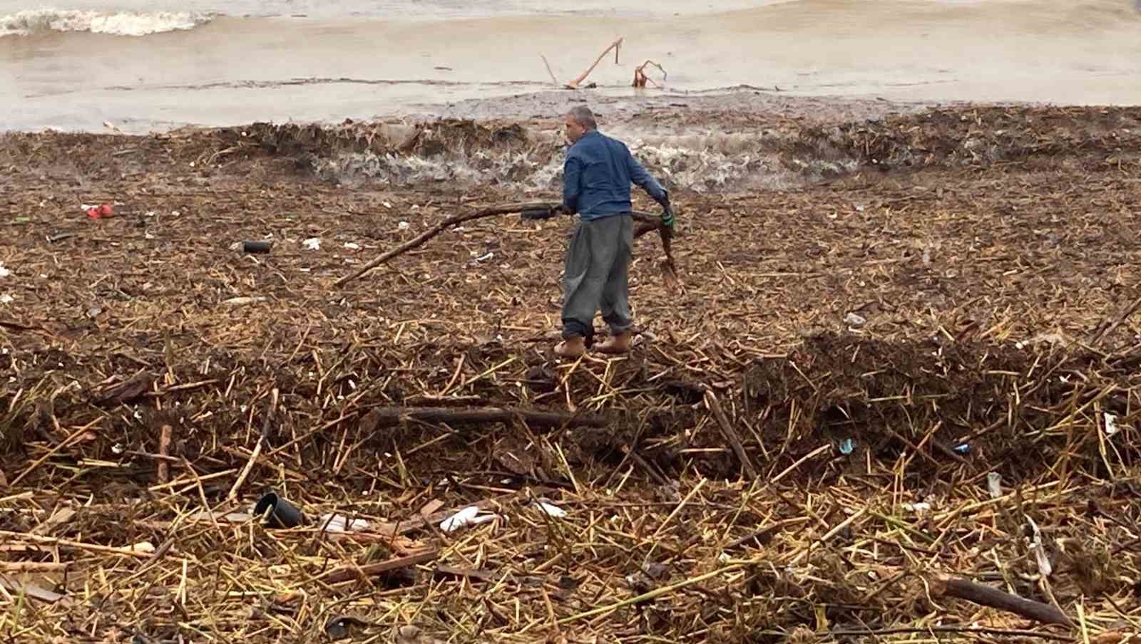 Sel sonrası deniz kahverengi oldu, sahiller odun doldu

