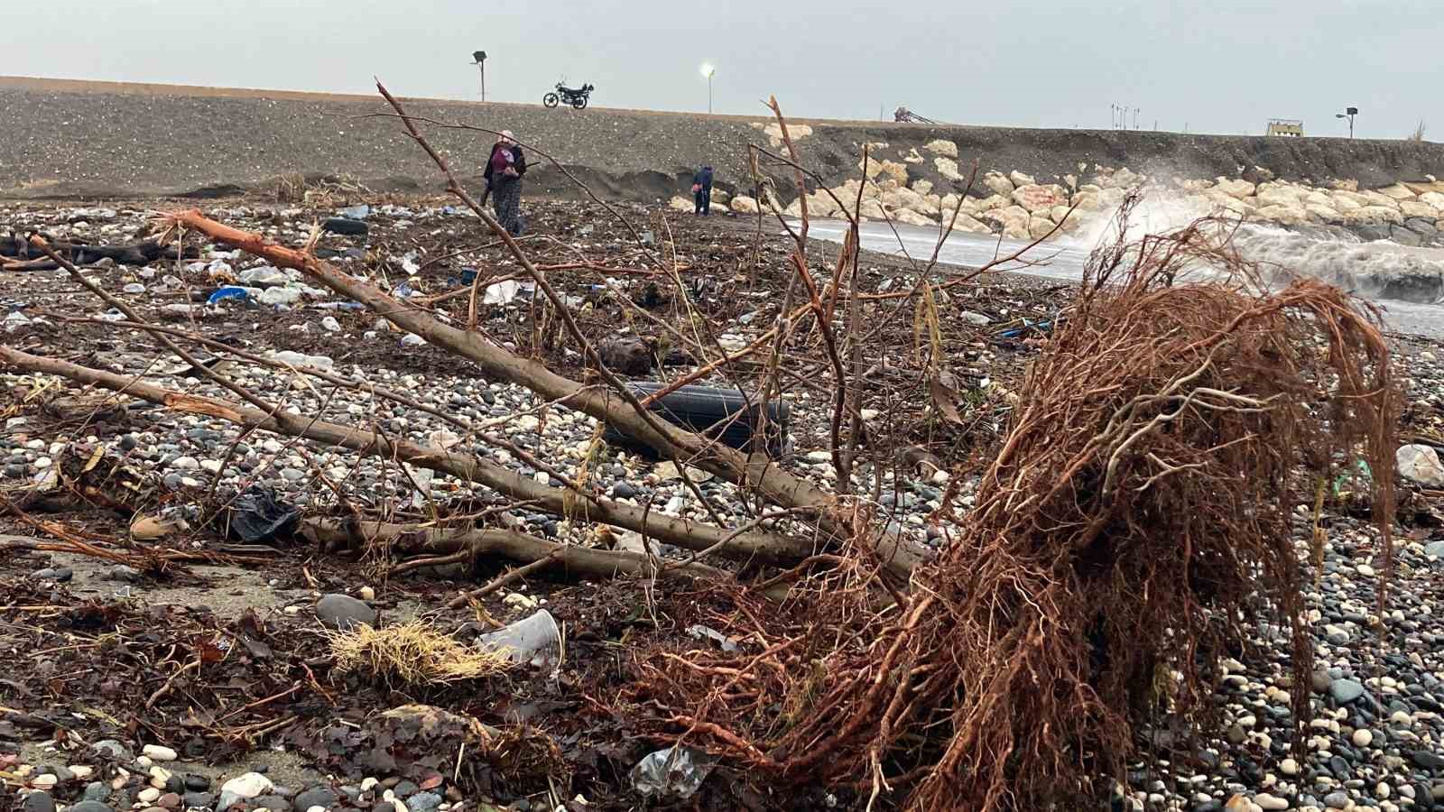 Sel sonrası deniz kahverengi oldu, sahiller odun doldu
