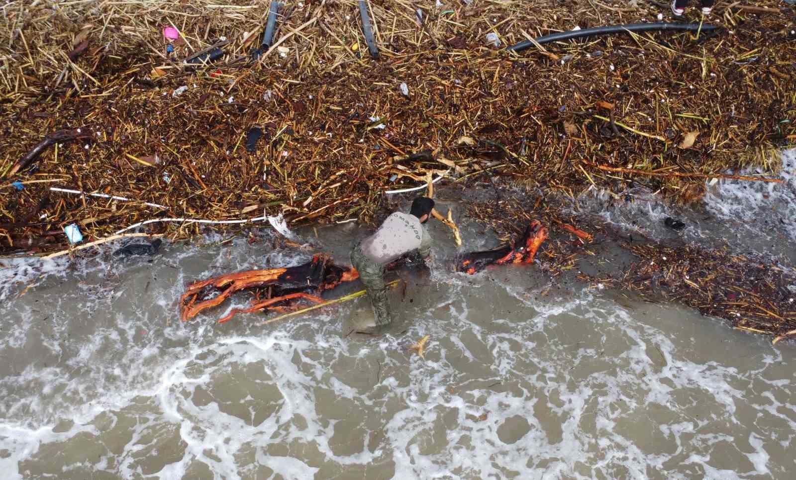 Sel sonrası ’milyonluk’ yazlıkların önünde ’ekmek’ mücadelesi
