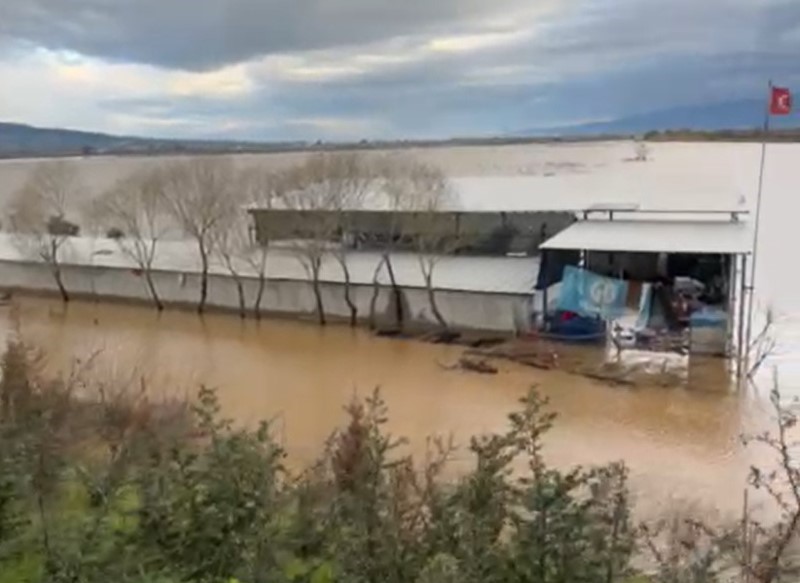 Sel sularının ortasındaki depoda mahsur kalan köpekler yürek burktu
Sel sularının ortasındaki depoda mahsur kalan köpekler yürek burktu