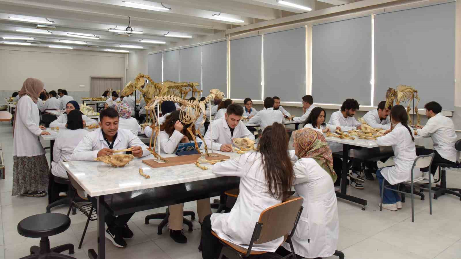 Selçuk Üniversitesi 2025’te bilimsel araştırmadan sosyal alanlara önemli atılımlar gerçekleştirdi
Selçuk Üniversitesi 2025’te bilimsel araştırmadan sosyal alanlara önemli atılımlar gerçekleştirdi