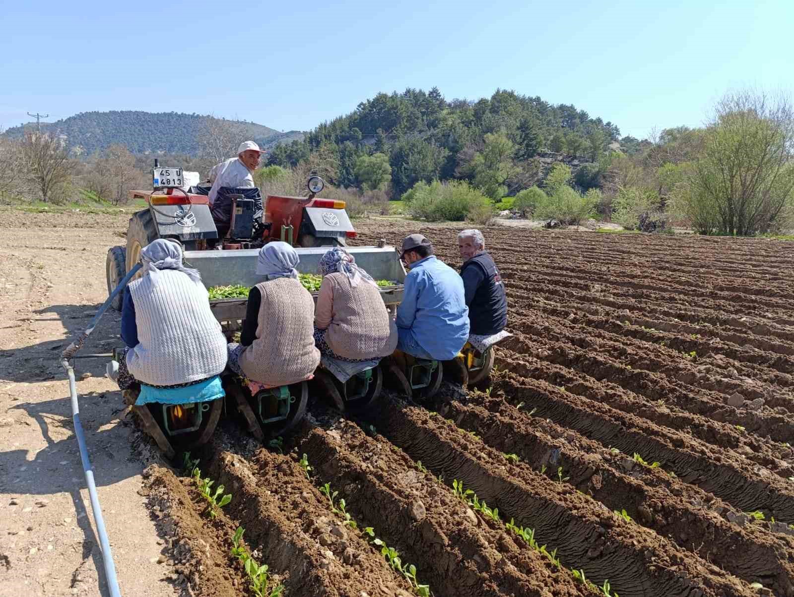 Selendi’de tarım işçisi yevmiyesi 1400 TL oldu

