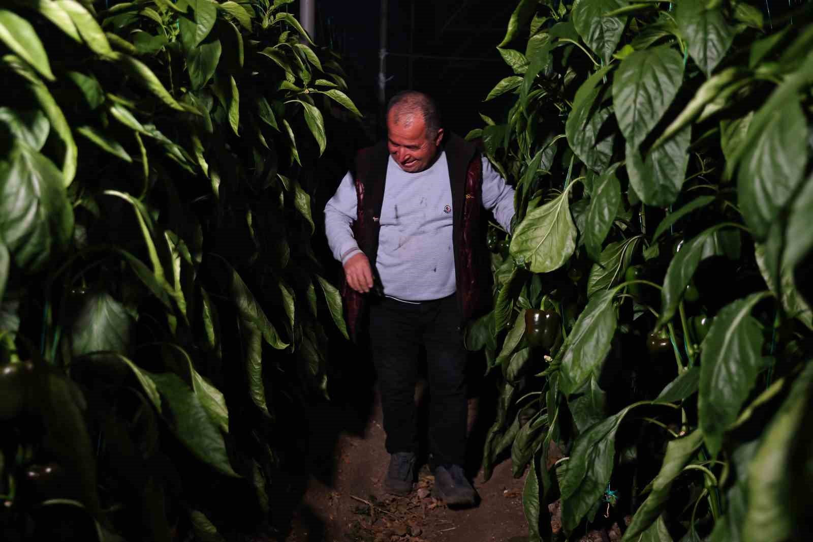 Seralarda dona karşı sıcaklıklar cep telefonundan anlık takip ediliyor
