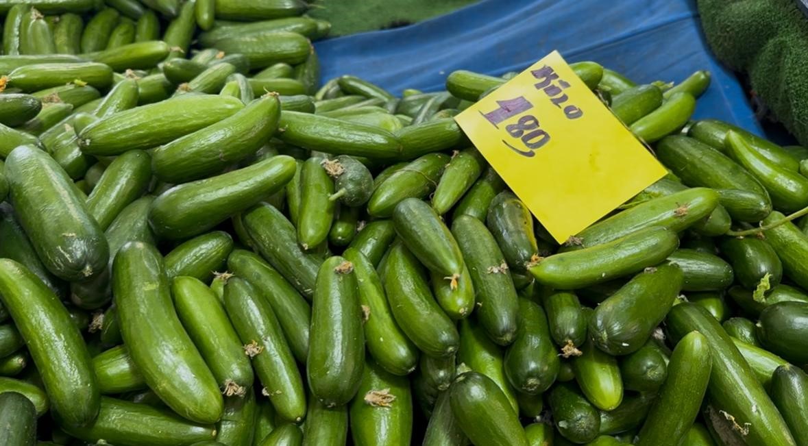 Seraları su basınca sivri biber ve salatalığın ateşi yükseldi
