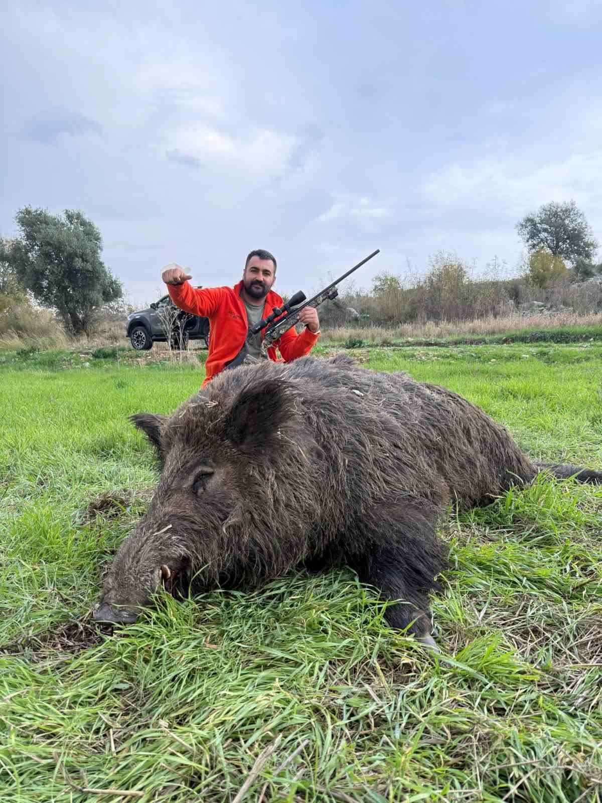 Serik’te tarım arazilerini domuzlardan korumak için sürek avları devam ediyor
