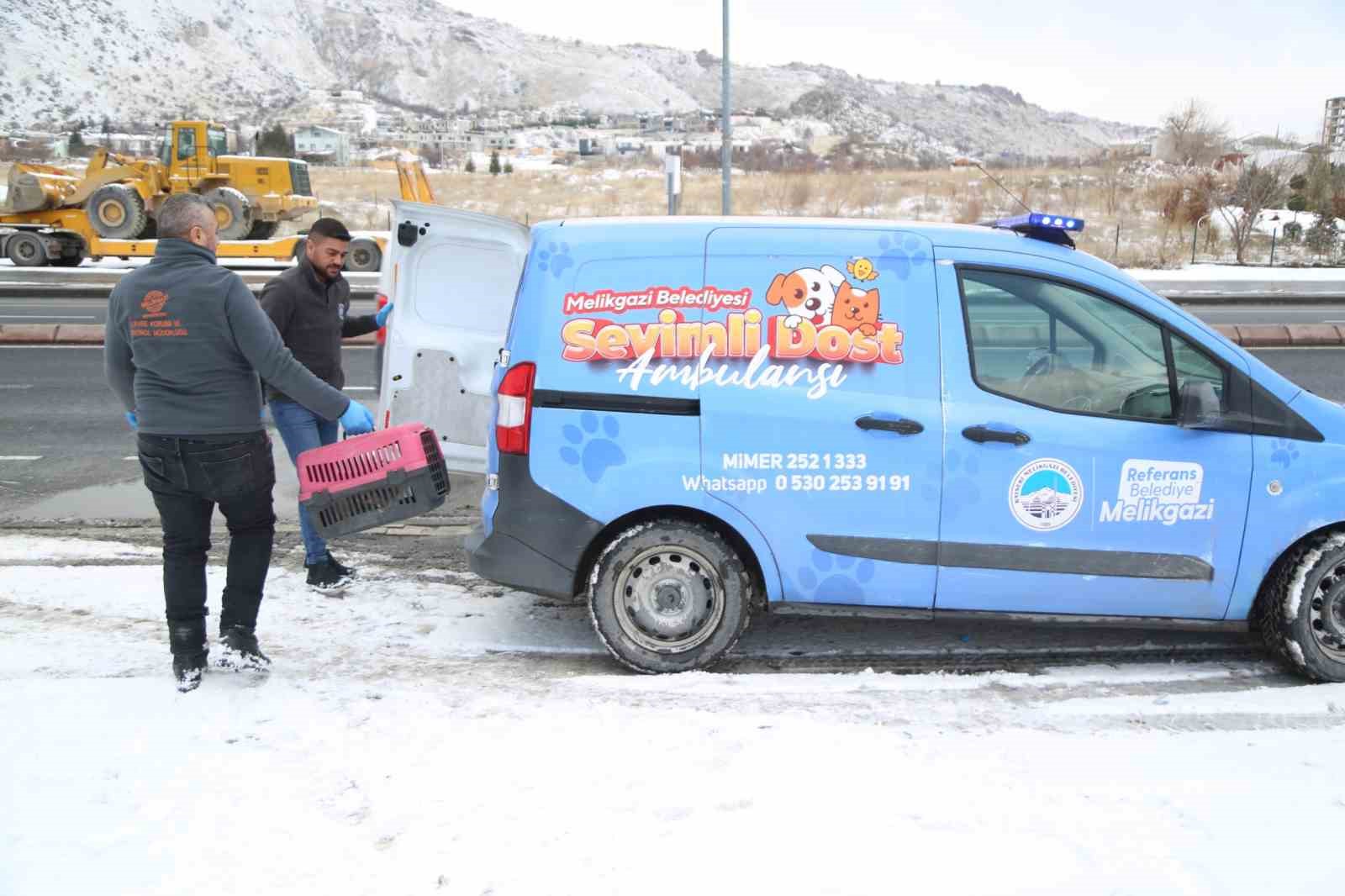 Sevimli Dost ambulansı, binlerce sokak hayvanının yardımına koştu
