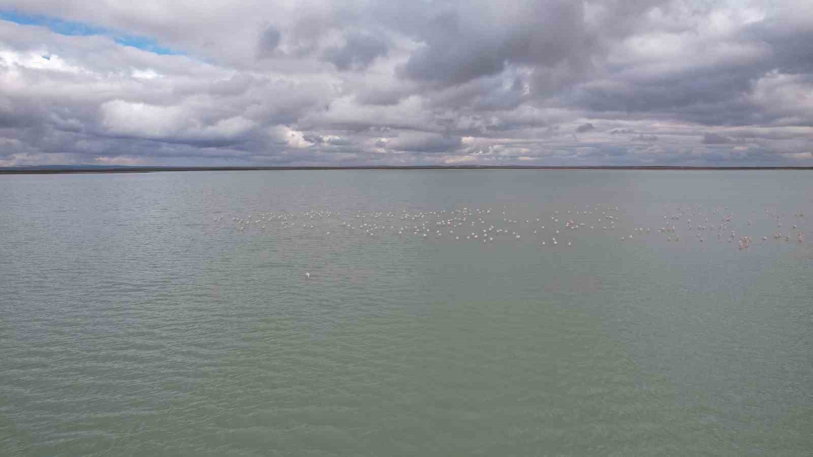 Seyfe Gölü’nde flamingo cümbüşü havadan görüntülendi
