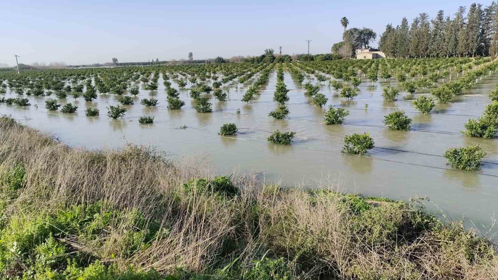 Seyhan Barajı’ndan su tahliyesi sürüyor: Tarlalar su altında kaldı
