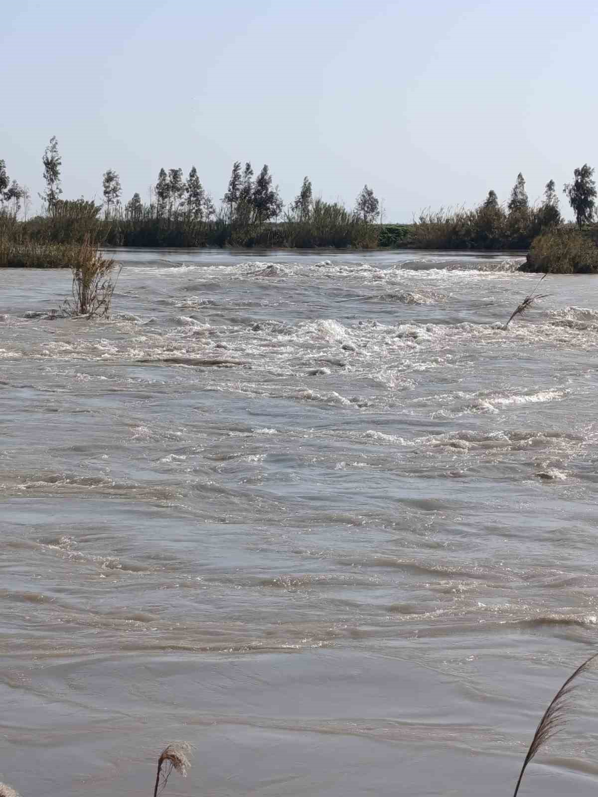 Seyhan Nehri taştı, Tarsus’ta bazı tarım arazileri sular altında kaldı
