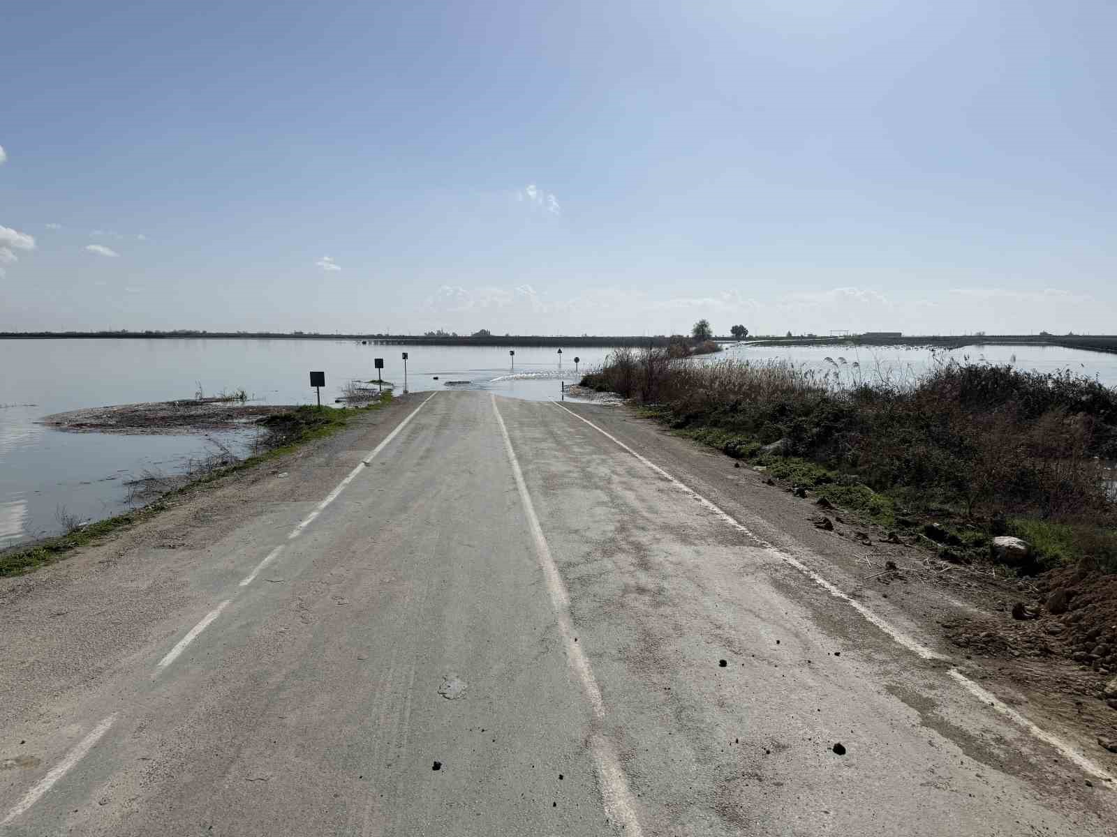 Seyhan Nehri taştı, Tarsus’ta tarım arazileri sular altında kaldı

