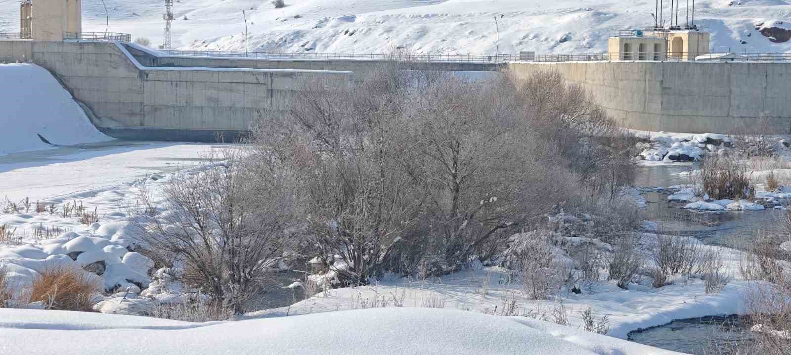 Sibirya soğukları yaban hayatını vurdu

