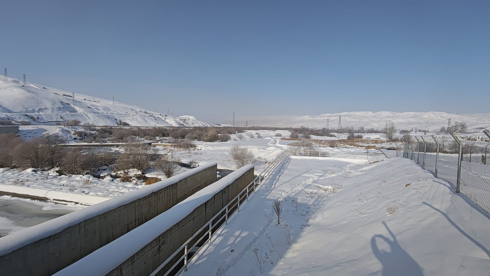 Sibirya soğukları yaban hayatını vurdu
