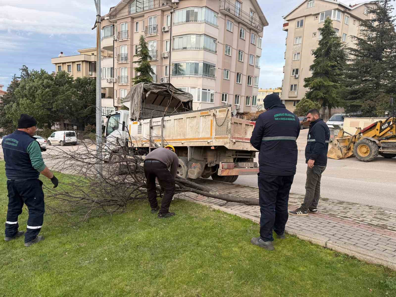 Şiddetli lodosun devirdiği ağaçlara anında müdahale
